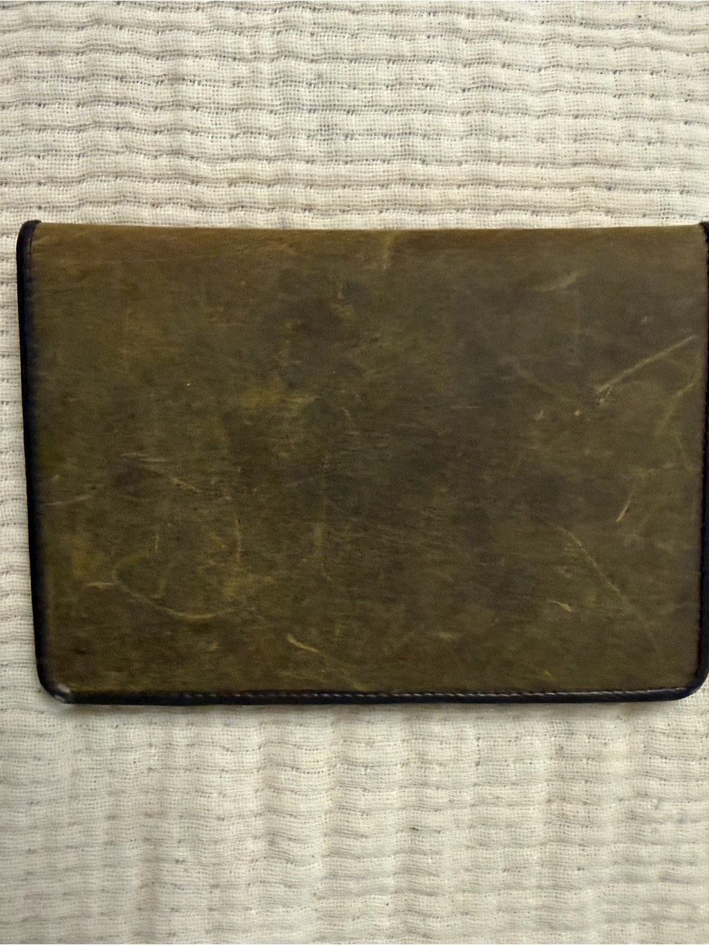 VintageLook Olive Green Leather Passport Wallet